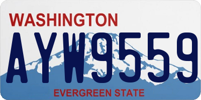 WA license plate AYW9559