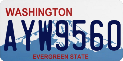 WA license plate AYW9560