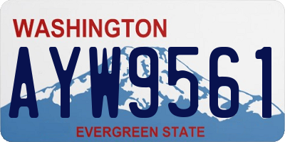 WA license plate AYW9561