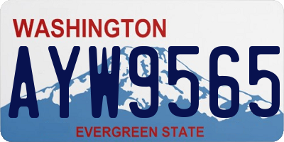 WA license plate AYW9565