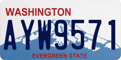 WA license plate AYW9571