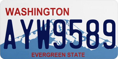 WA license plate AYW9589