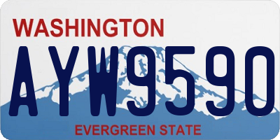 WA license plate AYW9590