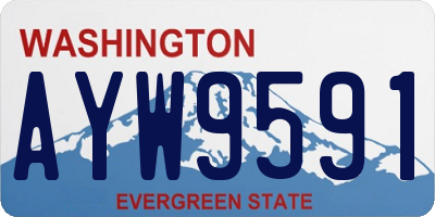 WA license plate AYW9591