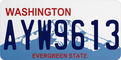 WA license plate AYW9613