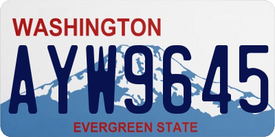 WA license plate AYW9645