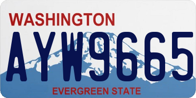 WA license plate AYW9665