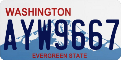 WA license plate AYW9667