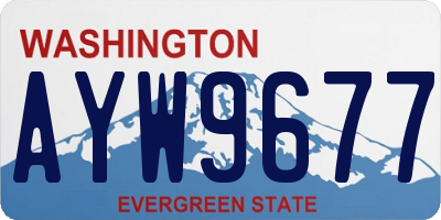 WA license plate AYW9677