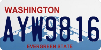 WA license plate AYW9816