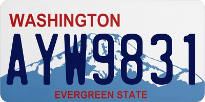 WA license plate AYW9831