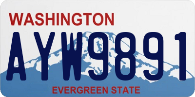 WA license plate AYW9891