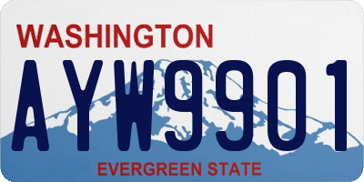 WA license plate AYW9901