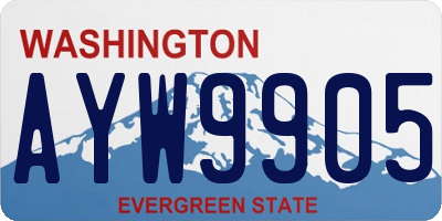 WA license plate AYW9905