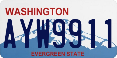 WA license plate AYW9911