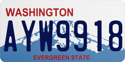 WA license plate AYW9918