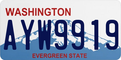 WA license plate AYW9919