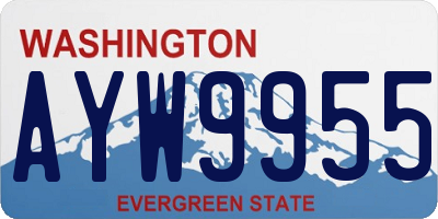 WA license plate AYW9955