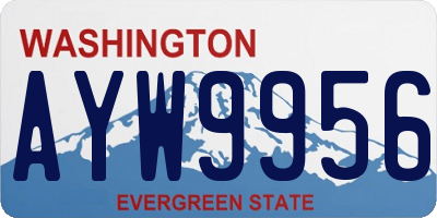 WA license plate AYW9956