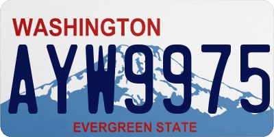 WA license plate AYW9975