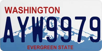 WA license plate AYW9979