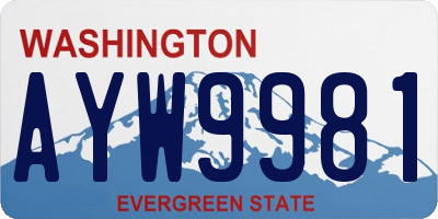 WA license plate AYW9981