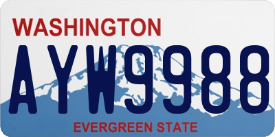 WA license plate AYW9988