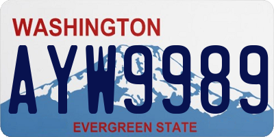 WA license plate AYW9989