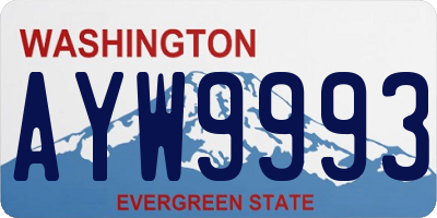 WA license plate AYW9993