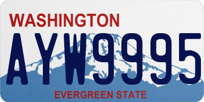 WA license plate AYW9995