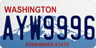 WA license plate AYW9996