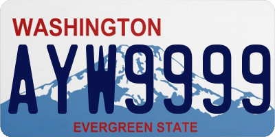 WA license plate AYW9999