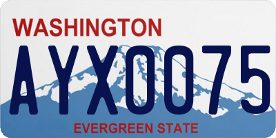 WA license plate AYX0075