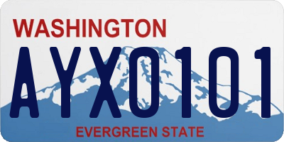 WA license plate AYX0101