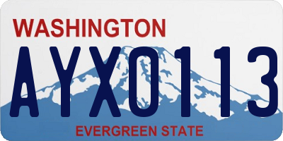 WA license plate AYX0113