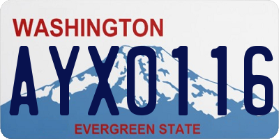 WA license plate AYX0116