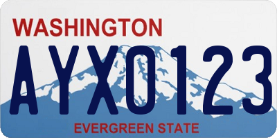 WA license plate AYX0123