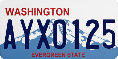 WA license plate AYX0125