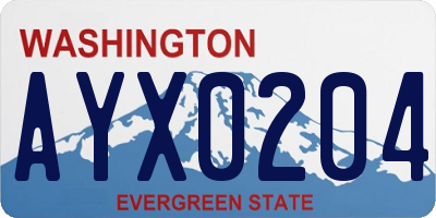 WA license plate AYX0204