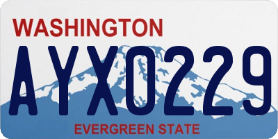 WA license plate AYX0229