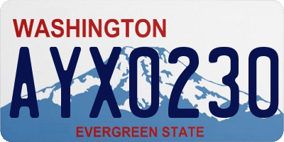 WA license plate AYX0230