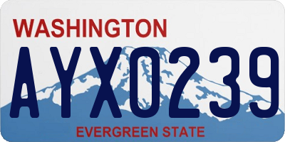 WA license plate AYX0239