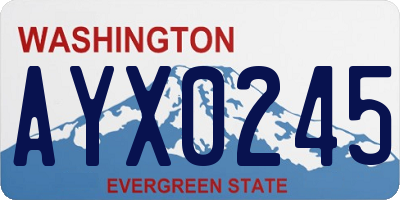 WA license plate AYX0245