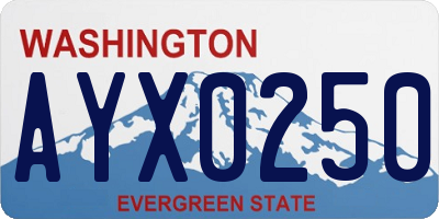 WA license plate AYX0250