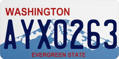 WA license plate AYX0263