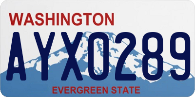 WA license plate AYX0289