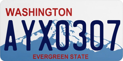 WA license plate AYX0307