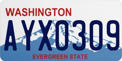 WA license plate AYX0309