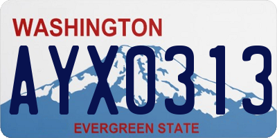 WA license plate AYX0313