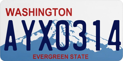 WA license plate AYX0314